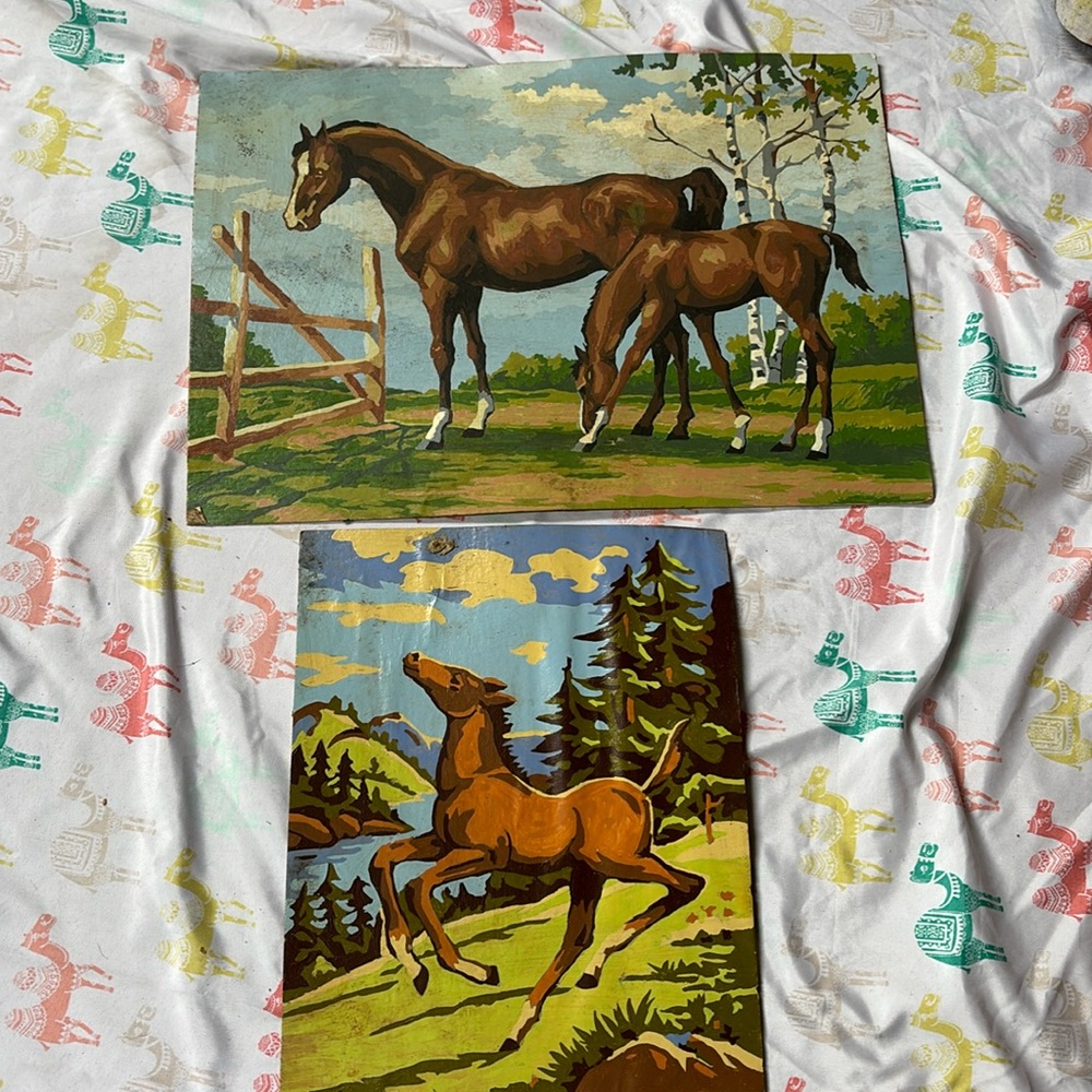 Paint by Number Horses